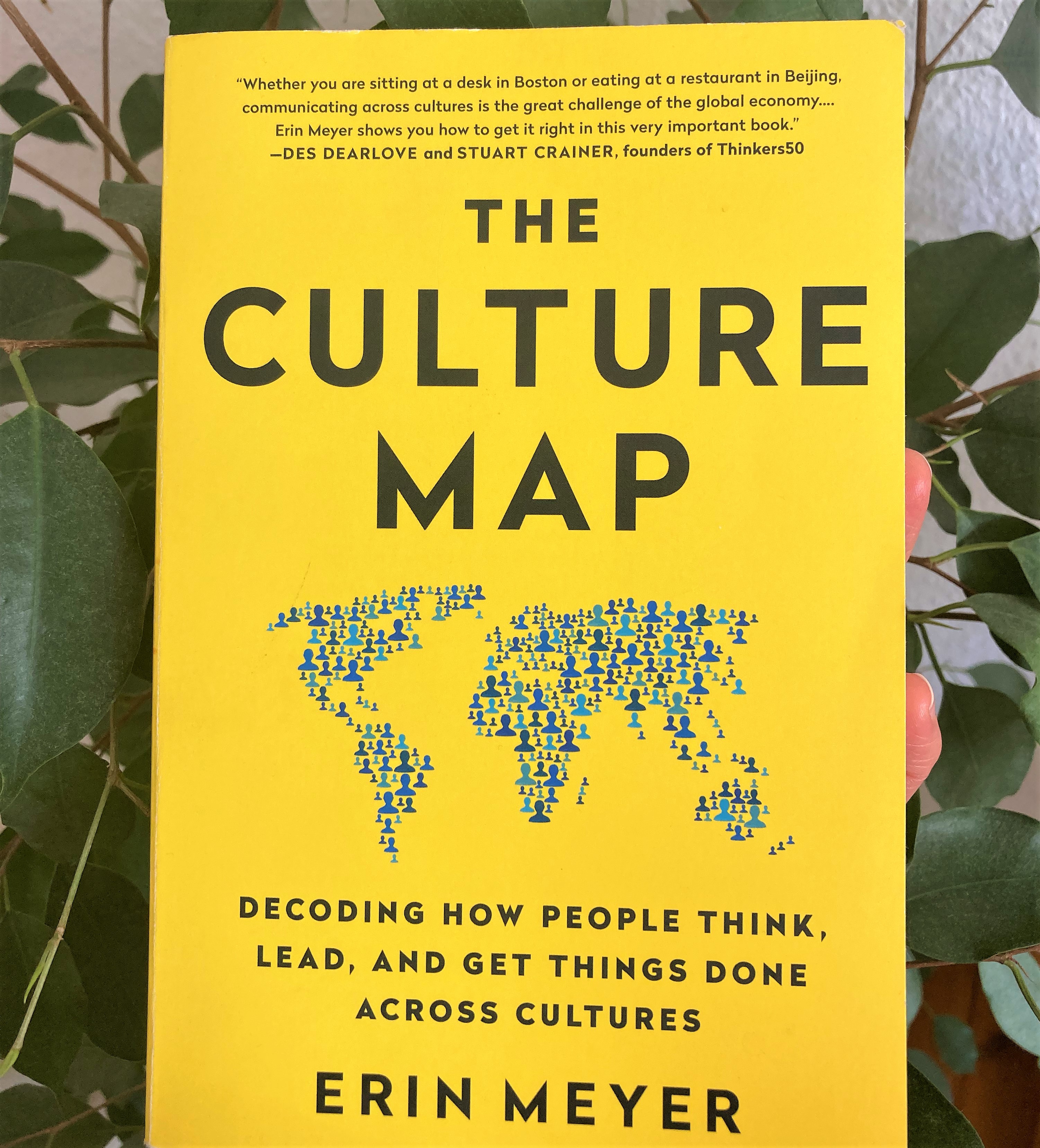 Culture Map Book image