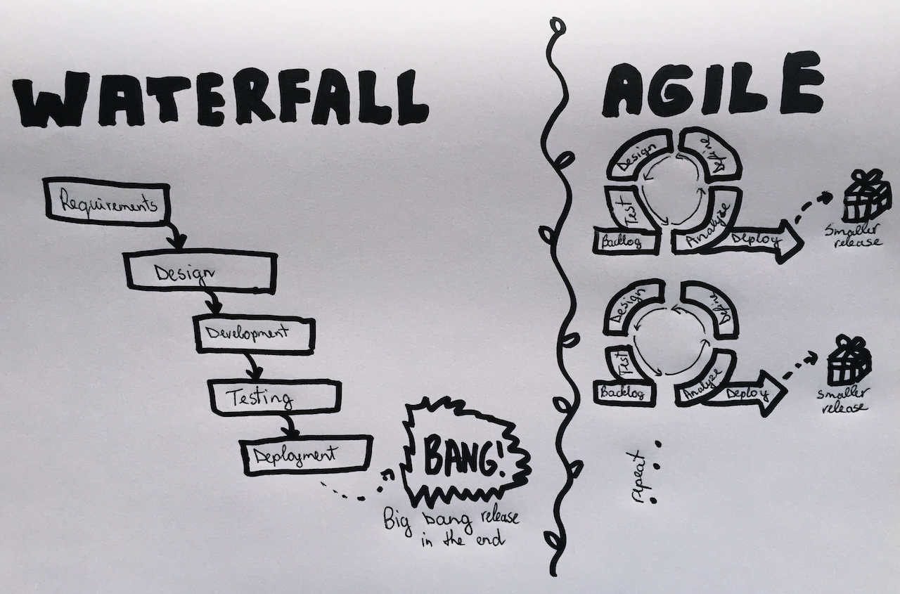 Waterfall Agile Cartoon