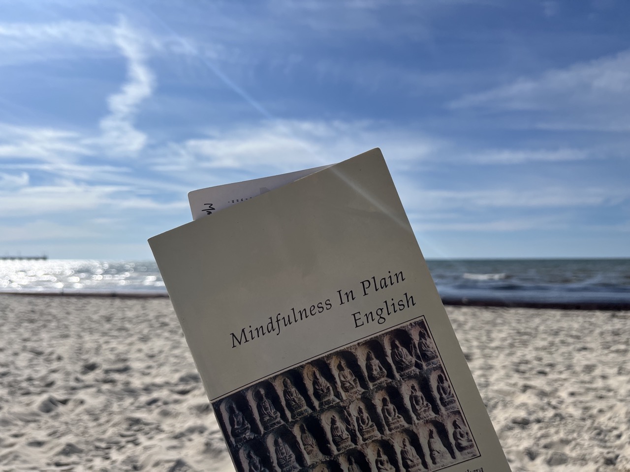 Reading Mindfulness book by the beach